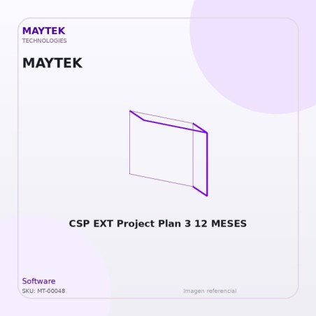 Microsoft CSP EXT Project Plan 3 12 MESES